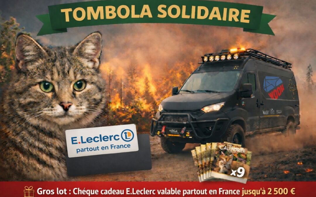 Nouvelle année… nouvelle saison… et surtout préparation !