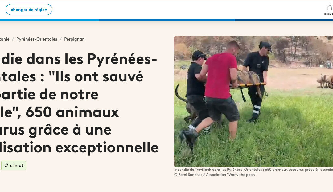 Incendie dans les Pyrénées-Orientales _ Ils ont sauvé une partie de – france3-regions.franceinfo