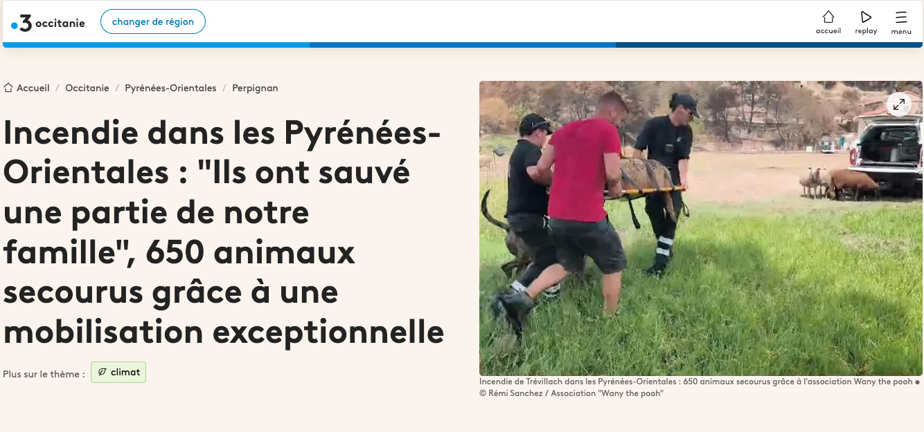 ENTETE – Incendie dans les Pyrénées-Orientales _ _Ils ont sauvé une partie de _ – france3-regions.franceinfo